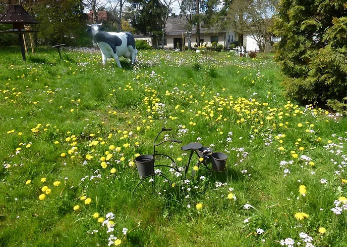 Land Des Friedens In Nettersheim / Eifel