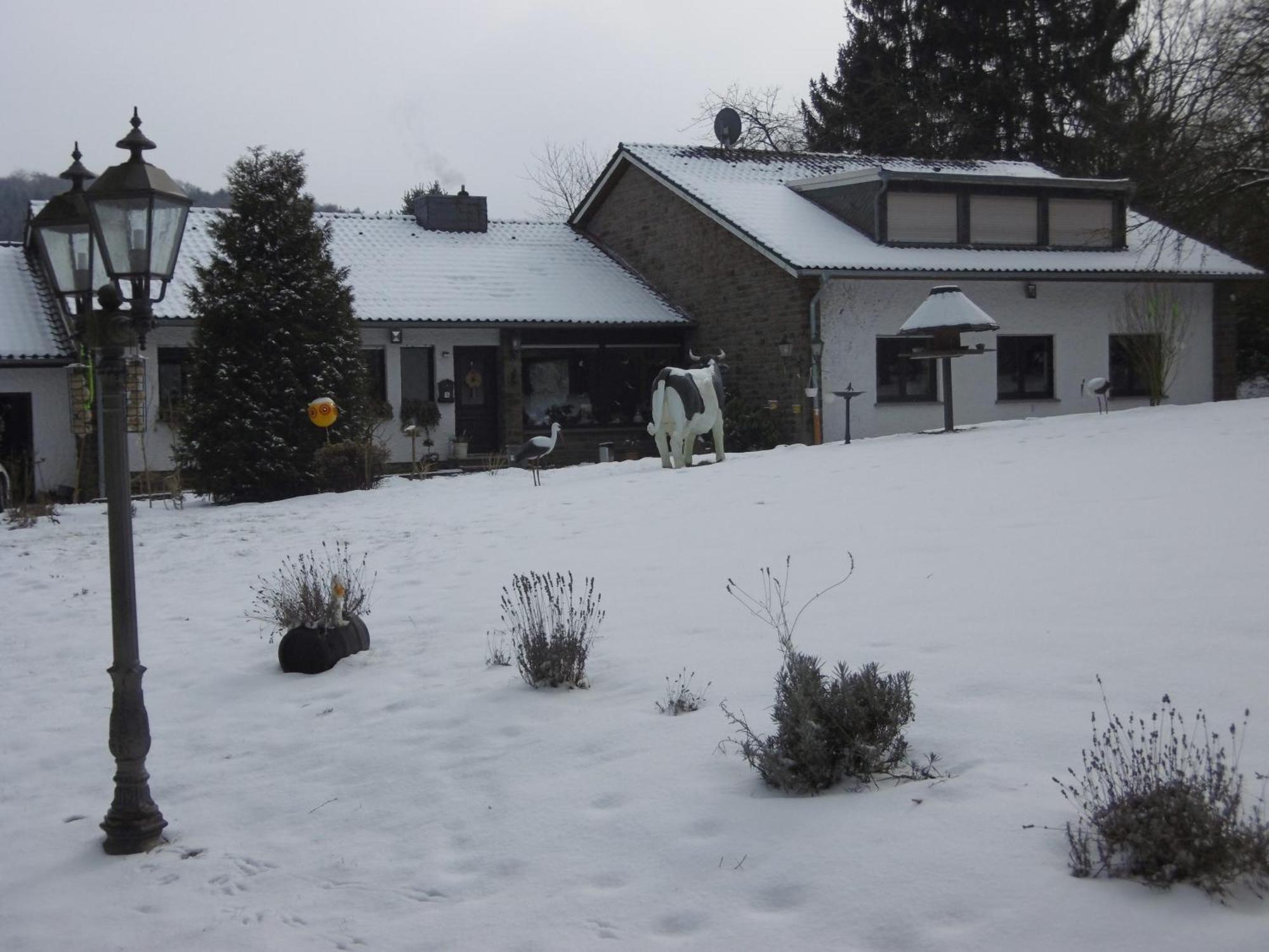 Land Des Friedens In / Eifel Apartment Nettersheim