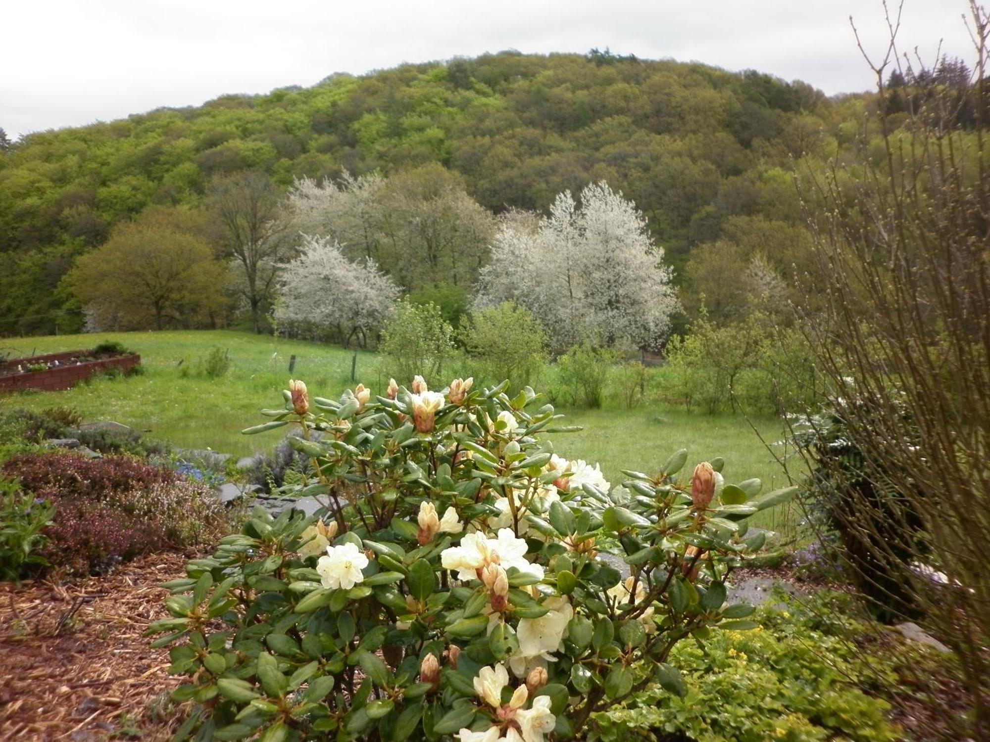 Land Des Friedens In / Eifel *