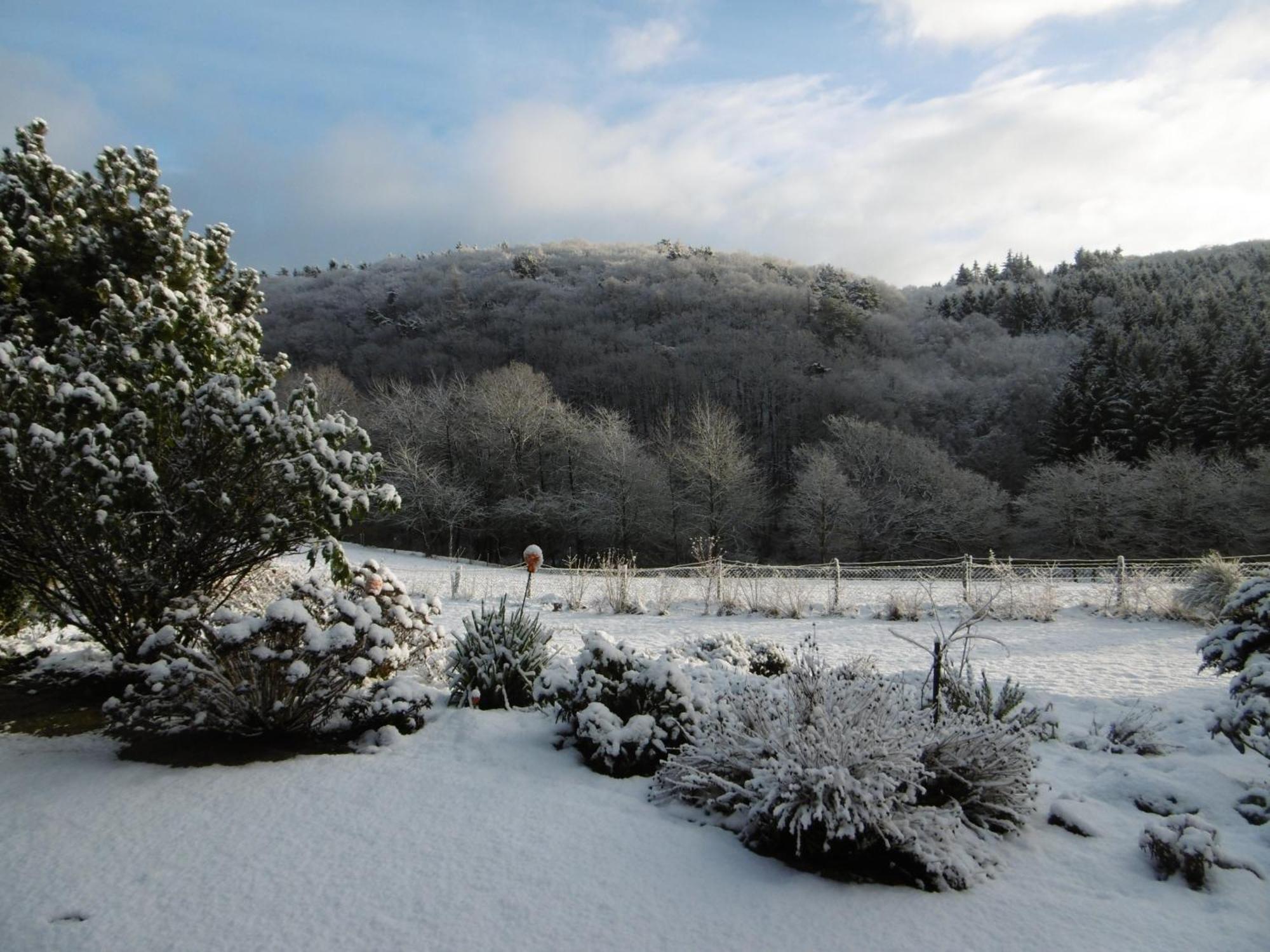 Land Des Friedens In / Eifel * Nettersheim