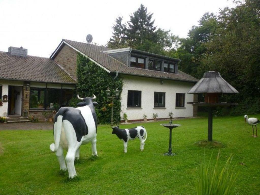 Land Des Friedens In / Eifel * Nettersheim